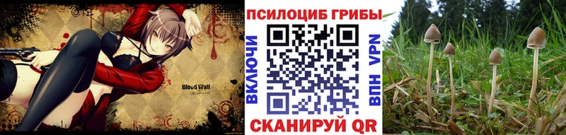 Галлюциногенные грибы Psilocybe  Заречный 