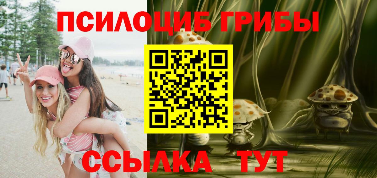 Псилоцибиновые грибы Cubensis  магазин    Заречный  Псилоцибиновые грибы Psilocybe  Вход с VPN 