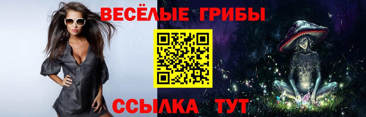 Галлюциногенные грибы Psilocybine cubensis Заречный